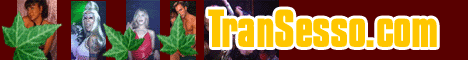special-trans