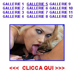 amica