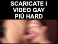 gay dvd