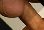 chiavata foto figa seni enormi